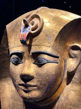 ACN ラムセス大王展 ファラオたちの黄金に投稿された画像（2025/8/24）