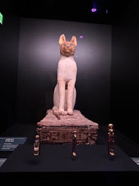 ACN ラムセス大王展 ファラオたちの黄金に投稿された画像（2025/8/24）