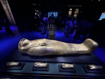 ACN ラムセス大王展 ファラオたちの黄金に投稿された画像（2025/8/24）