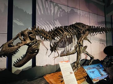 巨大恐竜展2025に投稿された画像（2025/8/24）