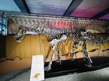 巨大恐竜展2025に投稿された画像（2025/8/24）
