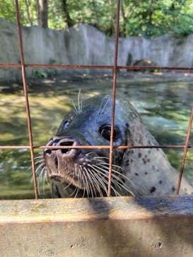 那須どうぶつ王国に投稿された画像（2025/8/24）