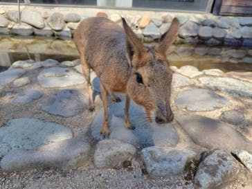 那須どうぶつ王国に投稿された画像（2025/8/24）