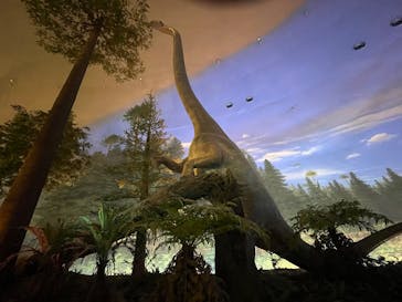 福井県立恐竜博物館に投稿された画像（2025/8/24）