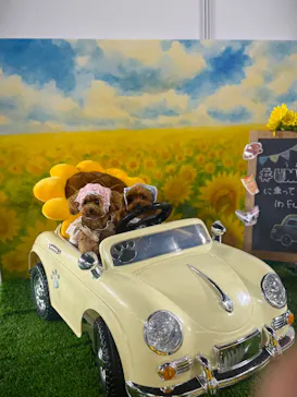 Pet博2025 福岡に投稿された画像（2025/8/24）