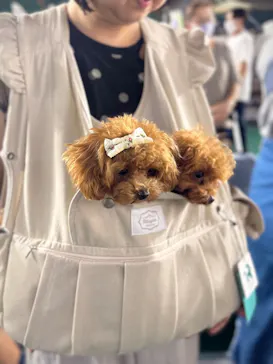 Pet博2025 福岡に投稿された画像（2025/8/24）