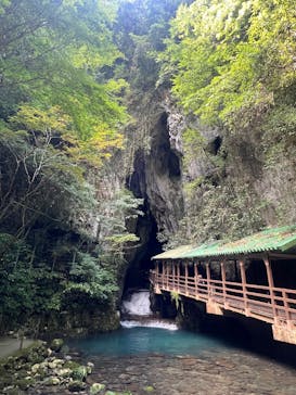 秋芳洞に投稿された画像（2025/8/24）