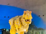 福井県立恐竜博物館に投稿された画像（2025/8/24）