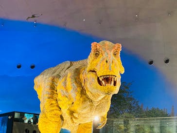 福井県立恐竜博物館に投稿された画像（2025/8/24）