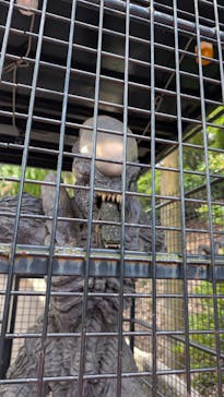 レオマリゾートに投稿された画像（2025/8/24）