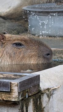 レオマリゾートに投稿された画像（2025/8/24）