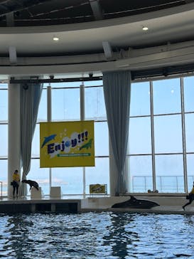 アクアワールド茨城県大洗水族館に投稿された画像（2025/8/24）