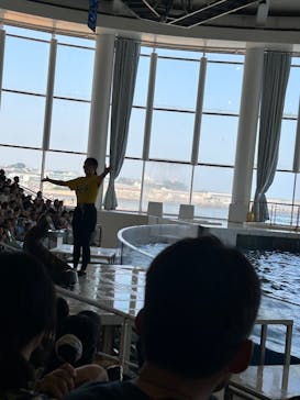 アクアワールド茨城県大洗水族館に投稿された画像（2025/8/24）