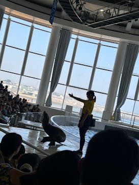 アクアワールド茨城県大洗水族館に投稿された画像（2025/8/24）