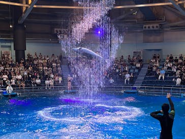 マクセル アクアパーク品川に投稿された画像（2025/8/24）