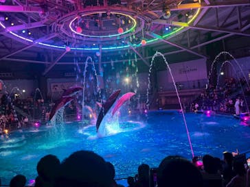 マクセル アクアパーク品川に投稿された画像（2025/8/24）