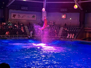 マクセル アクアパーク品川に投稿された画像（2025/8/24）