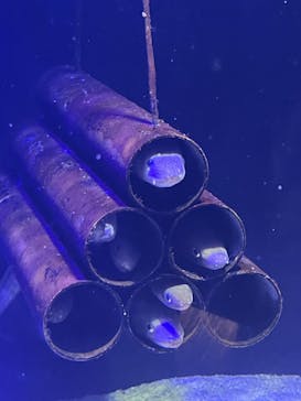 四国水族館に投稿された画像（2025/8/24）