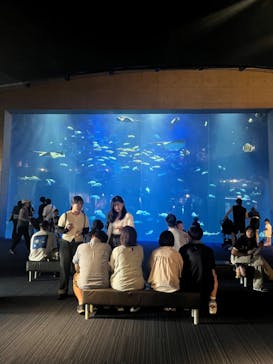 四国水族館に投稿された画像（2025/8/24）