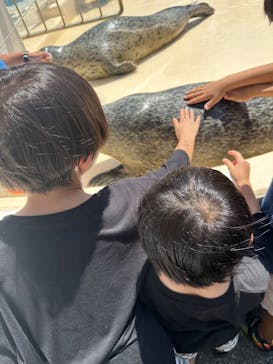 越前松島水族館に投稿された画像（2025/8/24）