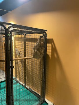 リトルモンスター展～「うゎっ」と「ぅわぁ～」のいきものたち～ @新潟県立自然科学館に投稿された画像（2025/8/24）