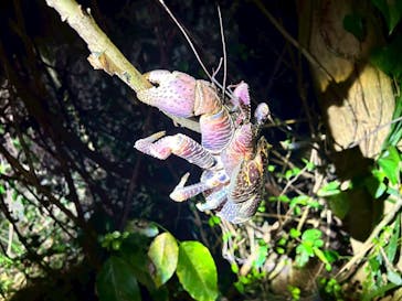 宮古島マリンショップSmileyに投稿された画像（2025/8/24）