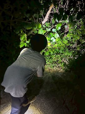 宮古島マリンショップSmileyに投稿された画像（2025/8/24）