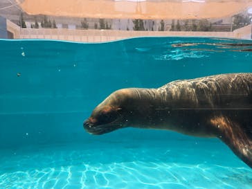 竹島水族館に投稿された画像（2025/8/24）