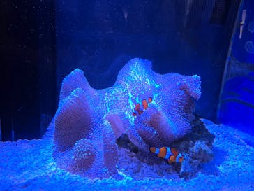 竹島水族館に投稿された画像（2025/8/24）