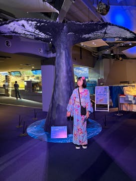 新江ノ島水族館に投稿された画像（2025/8/24）