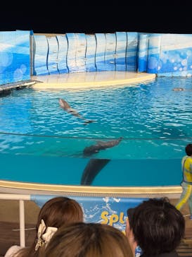 新江ノ島水族館に投稿された画像（2025/8/24）