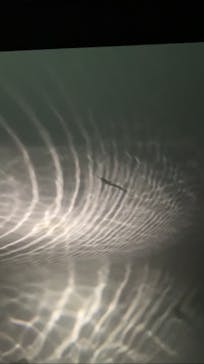 NIFREL（ニフレル）に投稿された画像（2025/8/24）