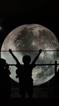 NIFREL（ニフレル）に投稿された画像（2025/8/24）