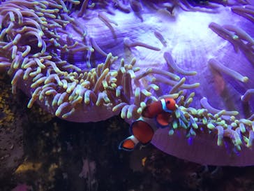 越前松島水族館に投稿された画像（2025/8/24）