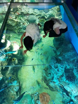 越前松島水族館に投稿された画像（2025/8/24）