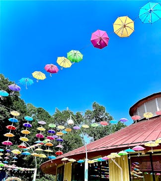 ムーミンバレーパークに投稿された画像（2025/8/24）