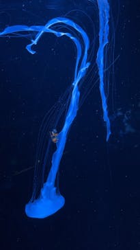 AOAO SAPPOROに投稿された画像（2025/8/25）