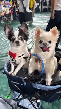 Pet博2025 福岡に投稿された画像（2025/8/25）