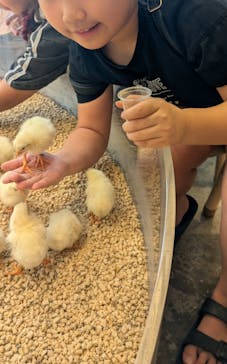 Moff animal cafe MARKIS 福岡ももち店に投稿された画像（2025/8/25）