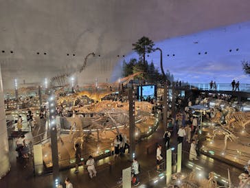 福井県立恐竜博物館に投稿された画像（2025/8/25）