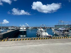 MalDive（モルダイブ）に投稿された画像（2025/8/25）