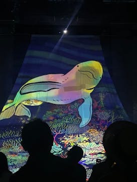 旅する光の切り絵展 ～くうそうって、まほうだよ～に投稿された画像（2025/8/25）