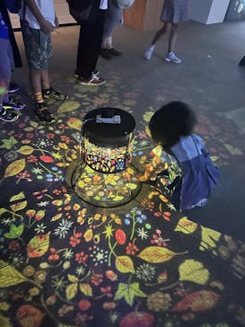 旅する光の切り絵展 ～くうそうって、まほうだよ～に投稿された画像（2025/8/25）