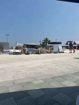 大分マリーンパレス水族館 「うみたまご」に投稿された画像（2025/8/25）