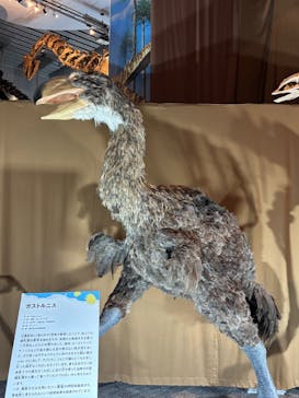 巨大恐竜展2025に投稿された画像（2025/8/25）
