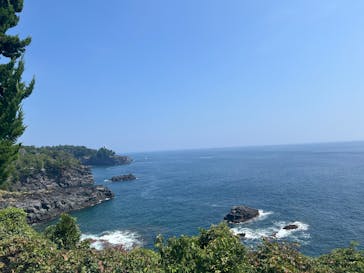 ニューヨークランプミュージアム＆フラワーガーデンに投稿された画像（2025/8/25）