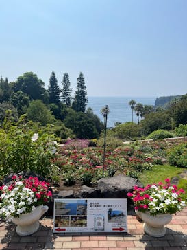 ニューヨークランプミュージアム＆フラワーガーデンに投稿された画像（2025/8/25）