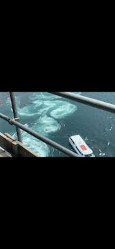 徳島県立 渦の道に投稿された画像（2025/8/25）