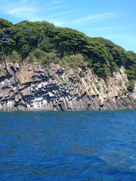 東尋坊観光遊覧船株式会社に投稿された画像（2025/8/25）