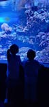 サンシャイン水族館に投稿された画像（2025/8/25）